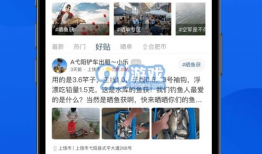 91钓鱼平台直播,揭秘钓鱼高手们的精彩瞬间