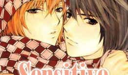 纤细的爱动漫,动漫中的细腻情感描绘